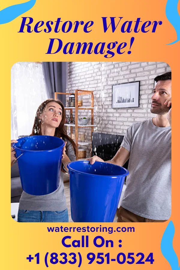 water restoration Reliable Water Removal Crew The Plains