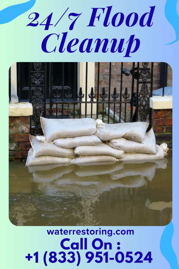 24/7 Flood Cleanup in The Plains, VA