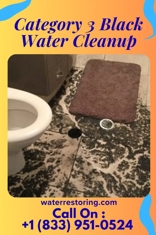 Category 3 Black Water Cleanup in The Plains, VA