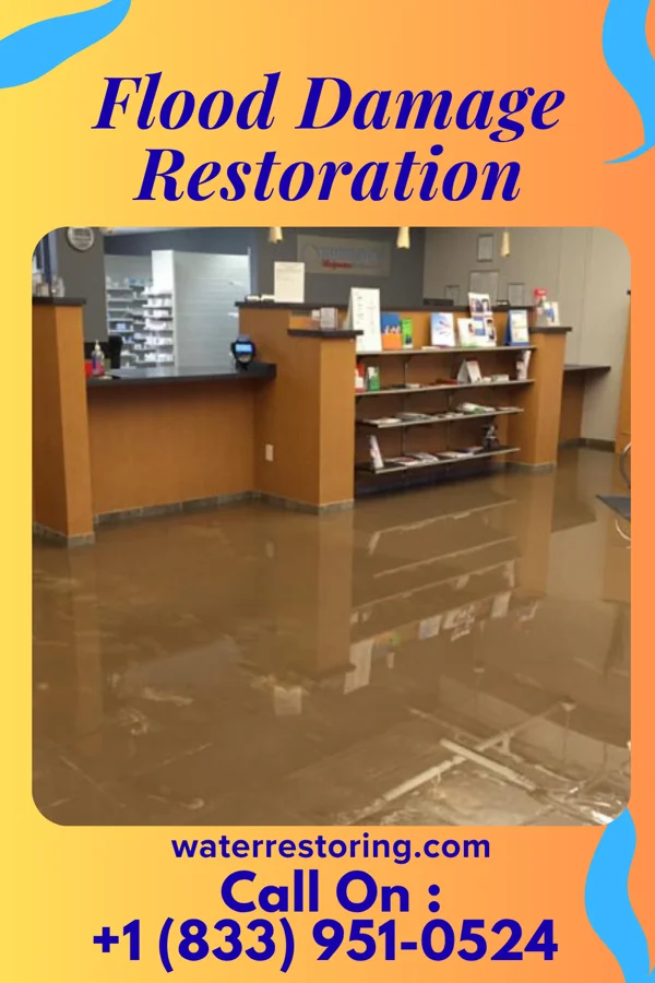 Flood Damage Restoration in The Plains, VA