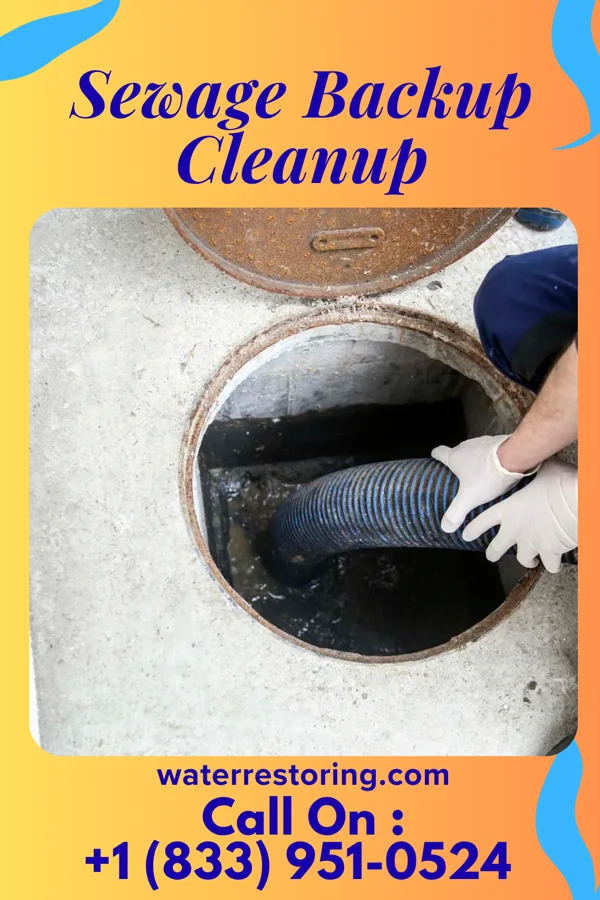 Sewage Backup Cleanup in The Plains, VA