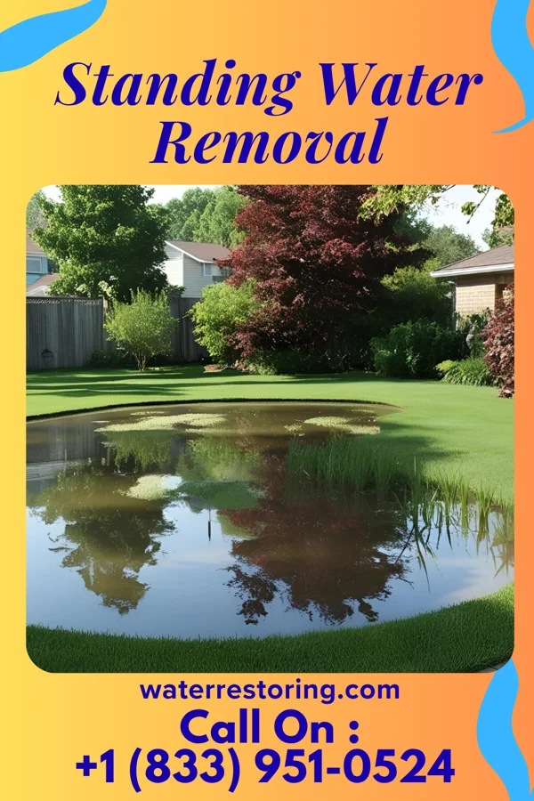 Standing Water Removal in The Plains, VA